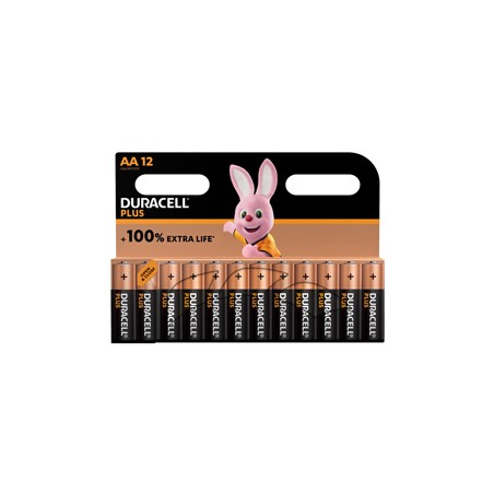 Blister 12 pile Duracell Plus 100 - AA Stilo