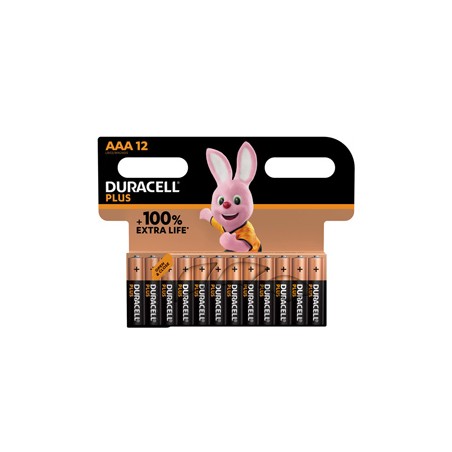 Blister 12 pile Duracell Plus 100 - AAA MiniStilo