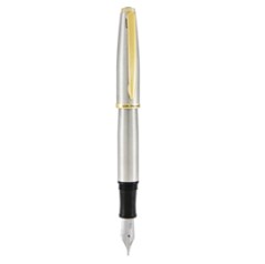 Penna stilografica Aldo Domani punta M fusto silver Monteverde