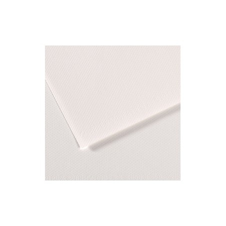 Foglio MI-TEINTES A4 cm 160 gr. 335 bianco