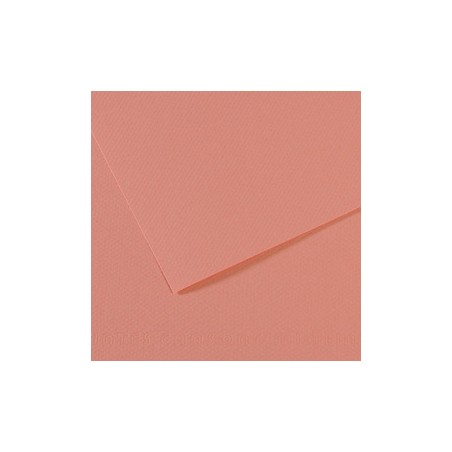 Foglio MI-TEINTES A4 cm 160 gr. 352 rosa scuro