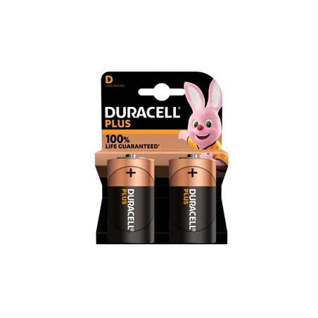 Blister 2 pile MN1300 Duracell PLUS 100 - TORCIA D