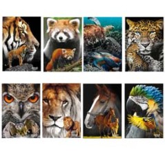 Maxiquaderno A4 20fg+1 80gr 4mm Animals 2023 Blasetti