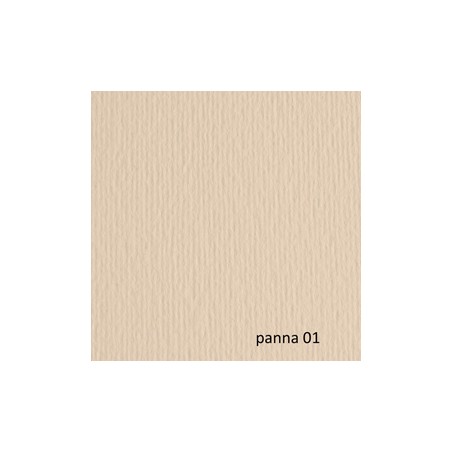 BLISTER 10FG CARTONCINO 70X100 220GR PANNA 101 FABRIANO ELLE ERRE