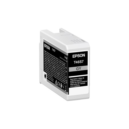 Epson Cartuccia Grigio UltraChrome Pro 10 ink 25ml