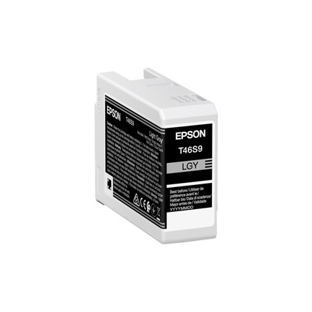 Epson Cartuccia Grigio UltraChrome Pro 10 ink 25ml