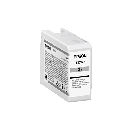 Epson Cartuccia Grigio UltraCrome Pro 10 _50ml