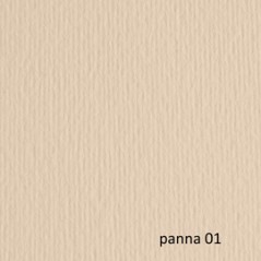 BLISTER 20FG CARTONCINO 50X70 220GR PANNA 101 FABRIANO ELLE ERRE