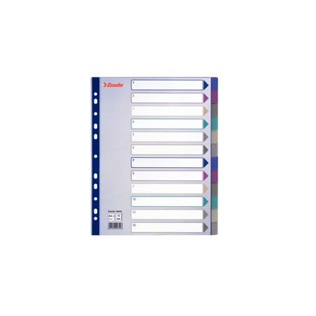 Separatore in PPL traslucido 12 tasti f.to A4 MAXI 24,5x29,7cm ESSELTE