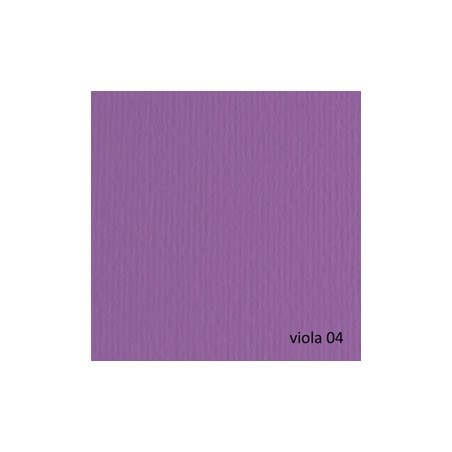 BLISTER 20FG CARTONCINO 50X70 220GR VIOLA 104 FABRIANO ELLE ERRE