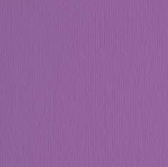 BLISTER 10FG CARTONCINO 70X100 220GR VIOLA 104 FABRIANO ELLE ERRE