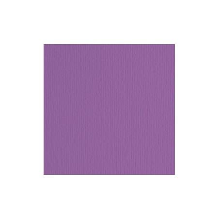 BLISTER 10FG CARTONCINO 70X100 220GR VIOLA 104 FABRIANO ELLE ERRE