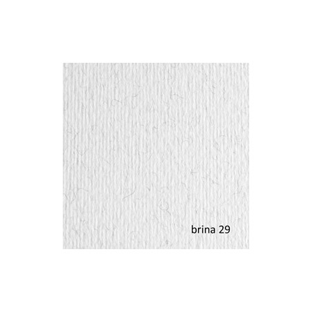 BLISTER 20FG CARTONCINO 50X70 220GR BRINA 29 FABRIANO ELLE ERRE