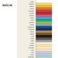 Conf.25 cartoncino Bristol Color 200gr 50x70cm arancio 56 Favini